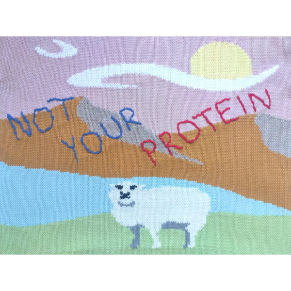 A close up shot of the text ''Not Your Protein'' and the vista featuring the sheep, the sun, the lake and the mountains on the sweater.
